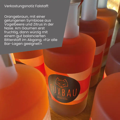 Vogelbeere Holunderblüte 19%, der preisgekrönte Aperitif